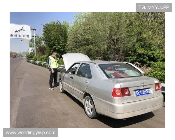 问鼎在线登录入口官网最新登录入口地址及安全登录技巧分享保障账号安全顺畅登录