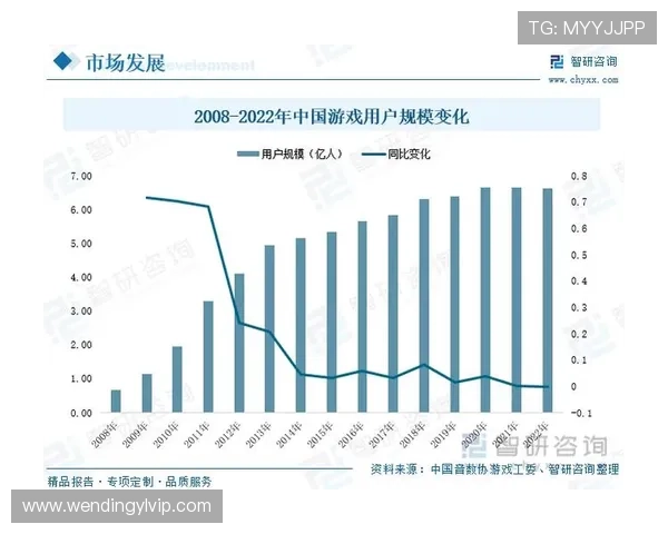 问鼎旗舰店在游戏行业中的市场定位与未来发展趋势深度分析
