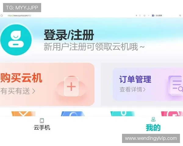 问鼎平台网页版登录遇到问题怎么办详细解决方案与常见故障排查
